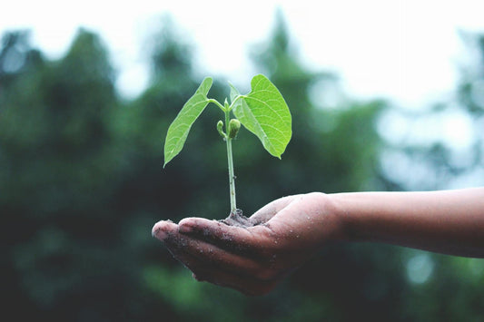 Gardening for Wellness: Cultivating Health and Happiness